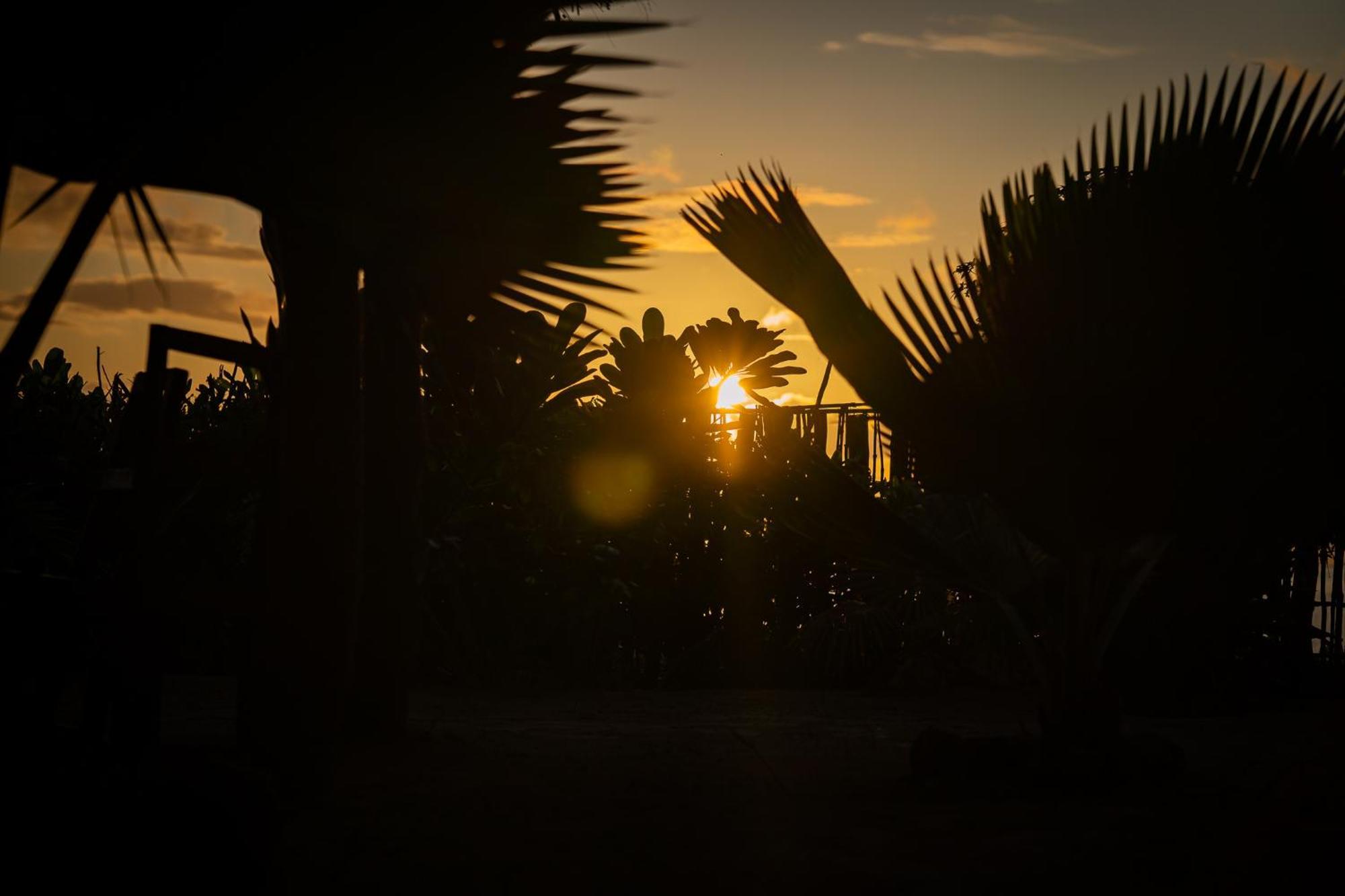 Pili Pili Beach Bungalows جامبياني المظهر الخارجي الصورة